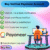 Buy Verified Payoneer Account